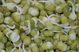 Sprouted Mung bean salad